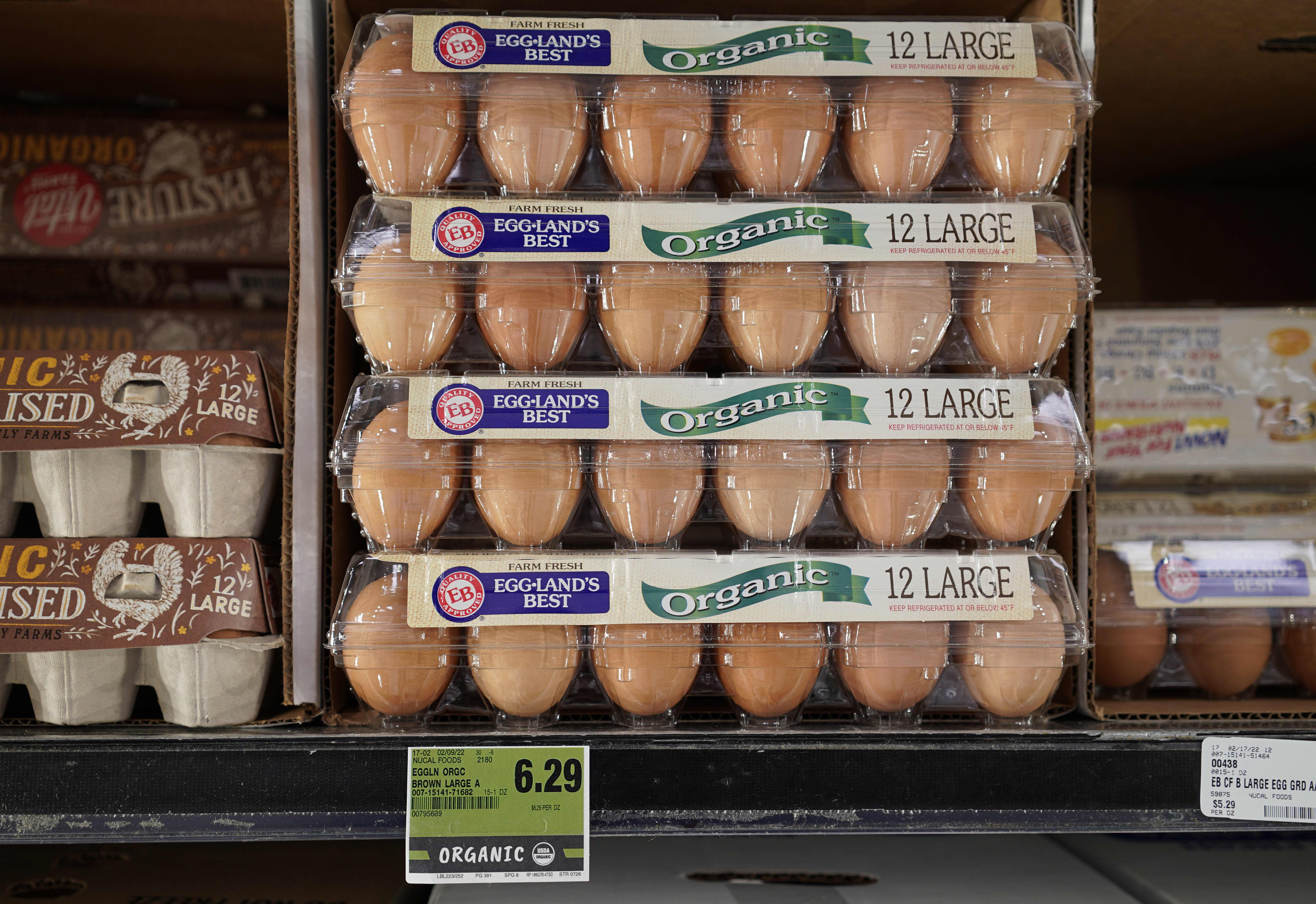 Here's why eggs cost so much